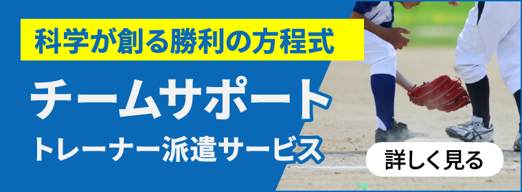 チームサポート